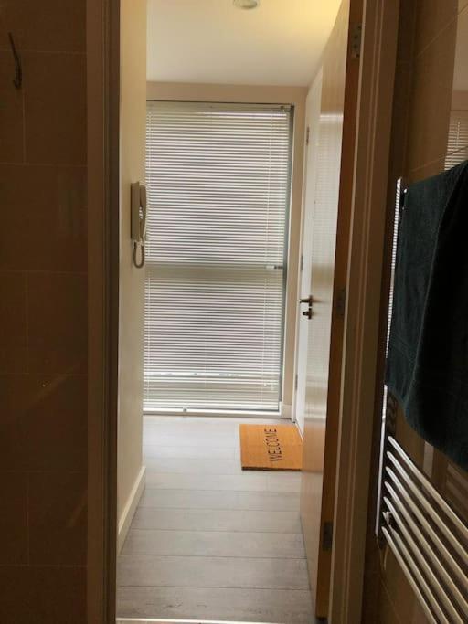 Studio Apartment Opposite Shoreditch Park London Eksteriør bilde